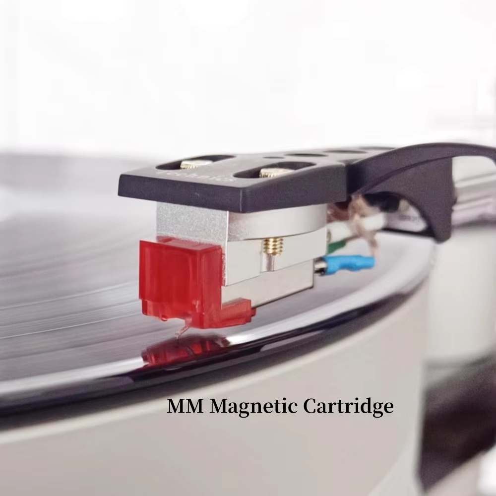 خرطوشة مغناطيسية MM بطرف إبرة  - مراجعة Record Player Needle وسعره